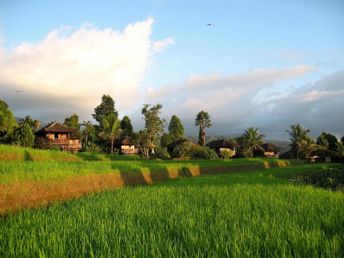 Puri Lumbung